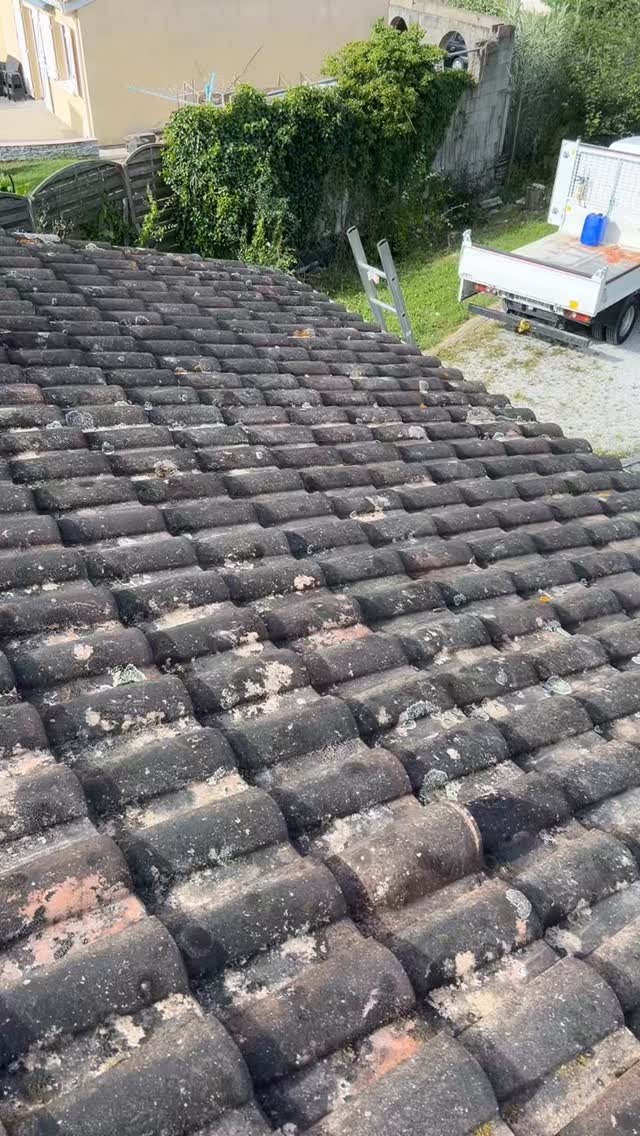 NETTOYAGE TOITURE 💥
Démoussage et passage du produit bio pro anti-mousse @mh.distribution 🌿
Resultat moins d’1 an après le passage du produit , pas de karcher , pas de produit agressif ! Pour garder une toiture saine et durable ☀️
Reste quelques petites traces qui partiront avec le temps 🌧️