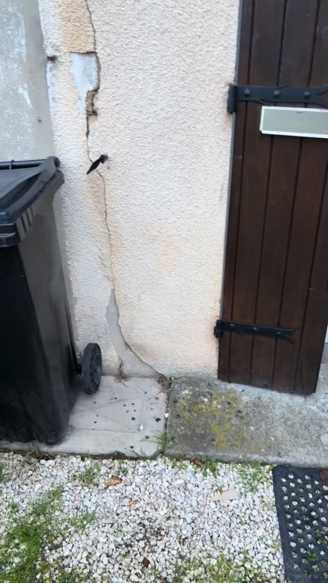 Rénovation façade extérieur 💥
Mise en place d’un bardage bois sur ossature bois 🪚🔨🪜